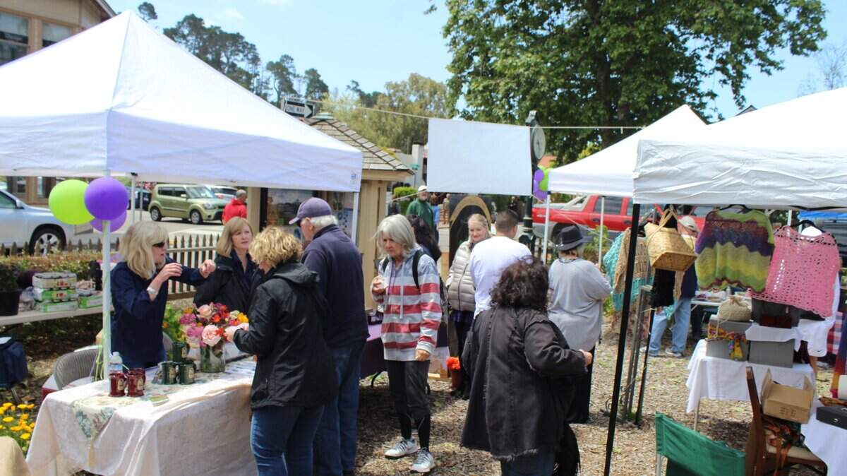 The first Olallieberry Festival at the Cambria Historical Museum last year drew a large number of visitors and featured music by Jill Knight.