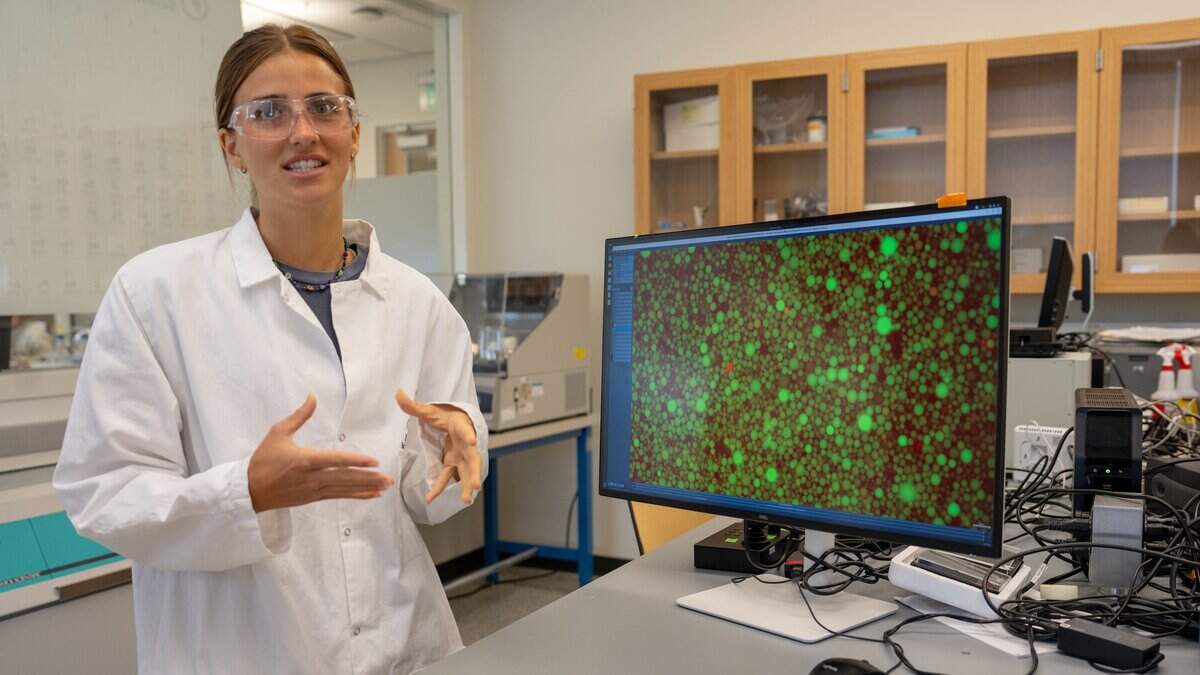 Fourth year biological science major Grace Montgomery explains a microscope view of synthetic cells at Cal Poly on June 24, 2026. Synthetic cells are manufactured in batches of millions in labs, and can be created to accomplish specific functions.