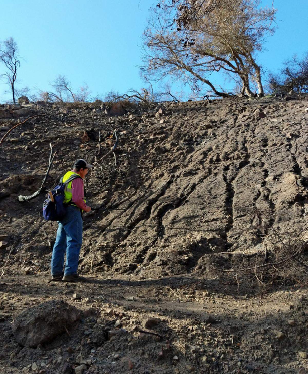 During an intense rainfall on January 9, 2018, hundreds of thousands of narrow channels, or rills, pumped enough mud into the canyons above Montecito to trigger a catastrophic debris flow, scientists say. Tom Dunne, a geomorphologist, is part of a UCSB team studying the disaster. He is shown here in a tributary of San Ysidro Creek.