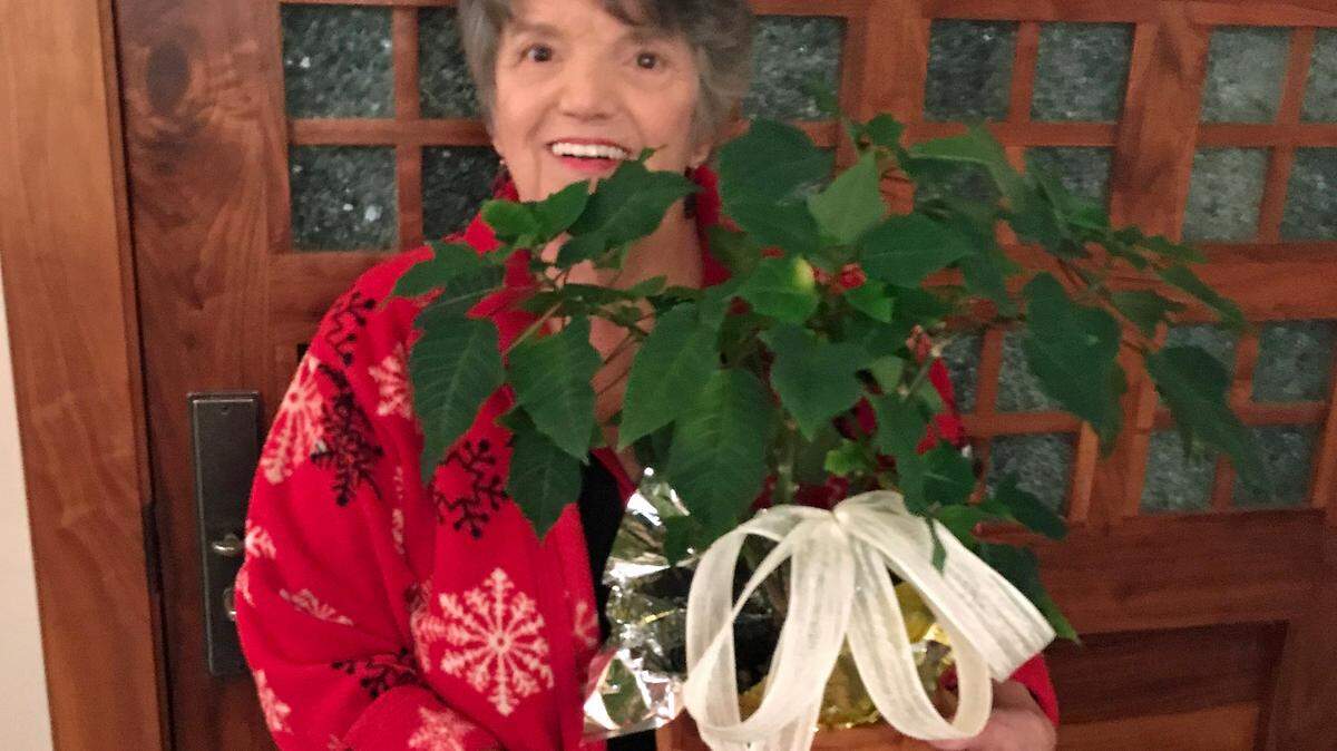 This 1-year-old poinsettia plant has broken all survival records for the species in the Cambria home of non-green-thumb columnist Kathe Tanner. 