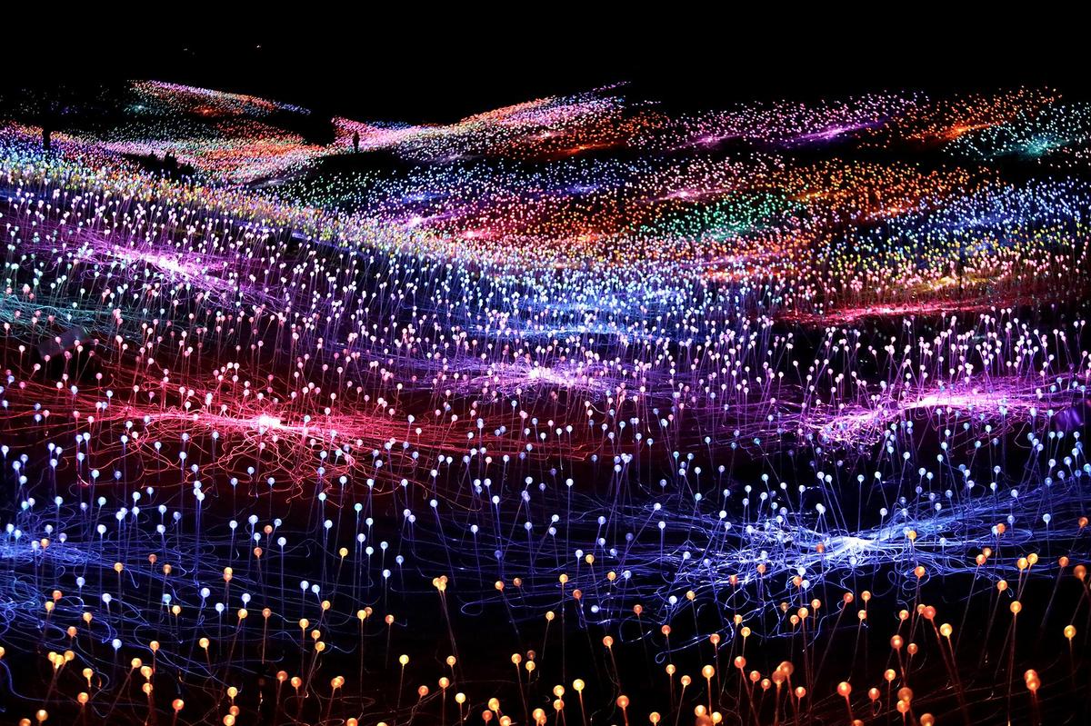 The Field of Light display at Sensorio in Paso Robles features nearly 60,000 solar-powered fiberoptic lights carpeted across a rolling oak landscape off Highway 46 East.
