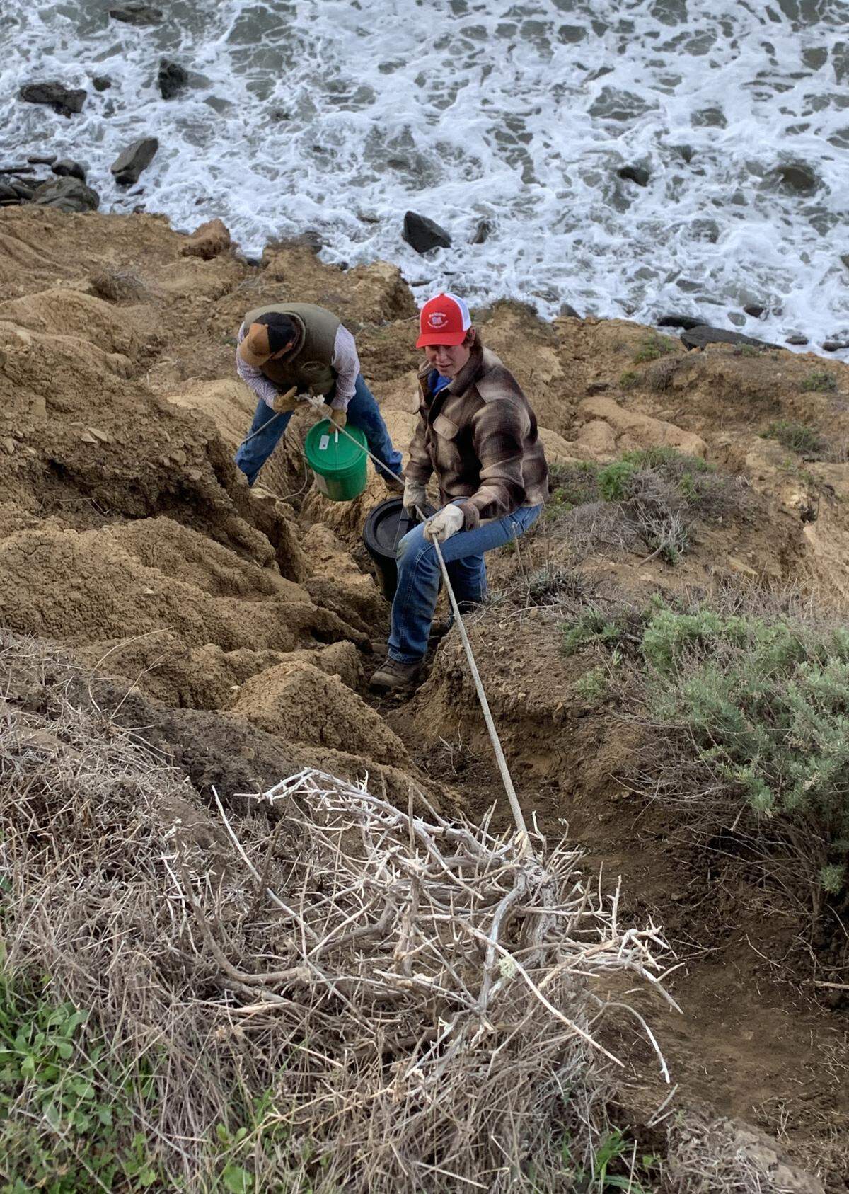 The Molnars attempt to feed and water a bull that fell of a cliff on their Cayucos ranch before it is rescued by Cal Fire’s large animal rescue team.