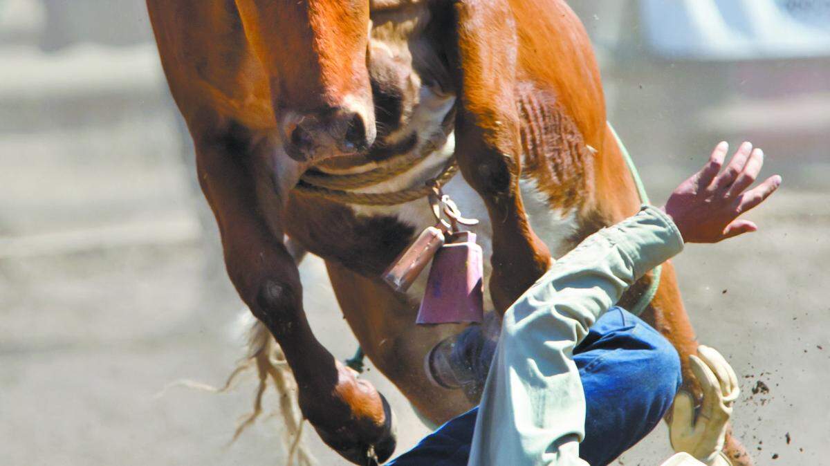 John Fiscalini ends up on ground during the steer riding competition at the Creston Classic Rodeo in Creston, Ca., on Saturday, September 15, 2012.