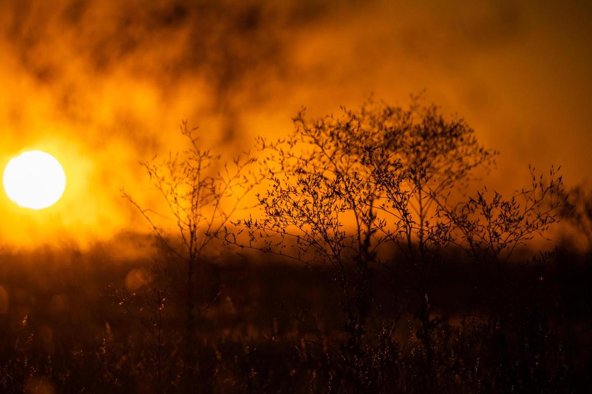 Firefighters are fighting the Pond Fire located east of Santa Margarita which is currently at 2,000 acres and 0% contained. Photos are looking from the Carrizo Plains.