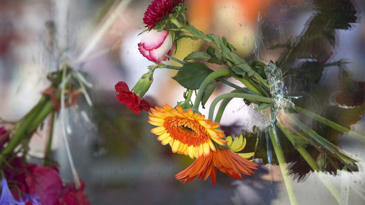 Flowers were placed through bullet holes in the glass of the IV Deli Mart in Isla Vista, where UCSB student Christopher Michaels-Martinez was killed.