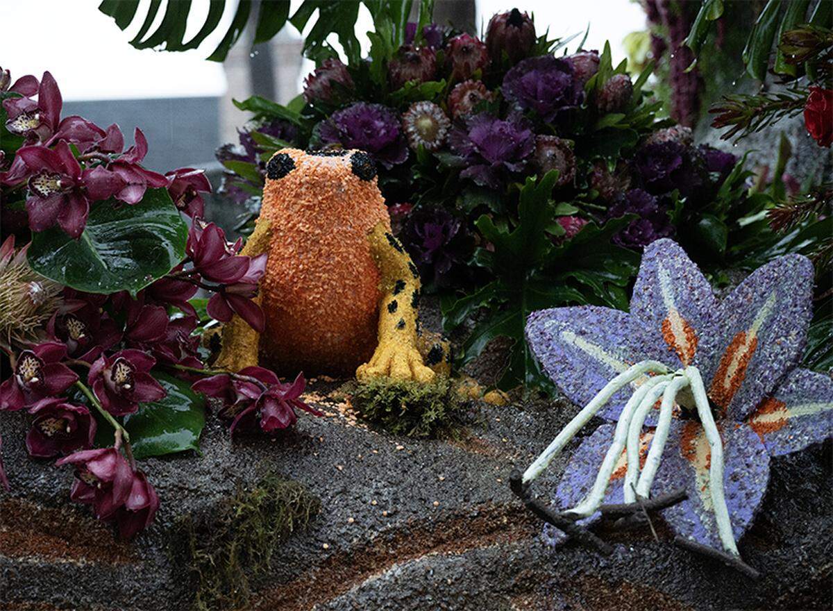 The Cal Poly Universities Rose Float, Jungle Jumpstart, makes its way toward Colorado Boulevard in Pasadena during the Rose Parade on Jan. 1, 2026.
