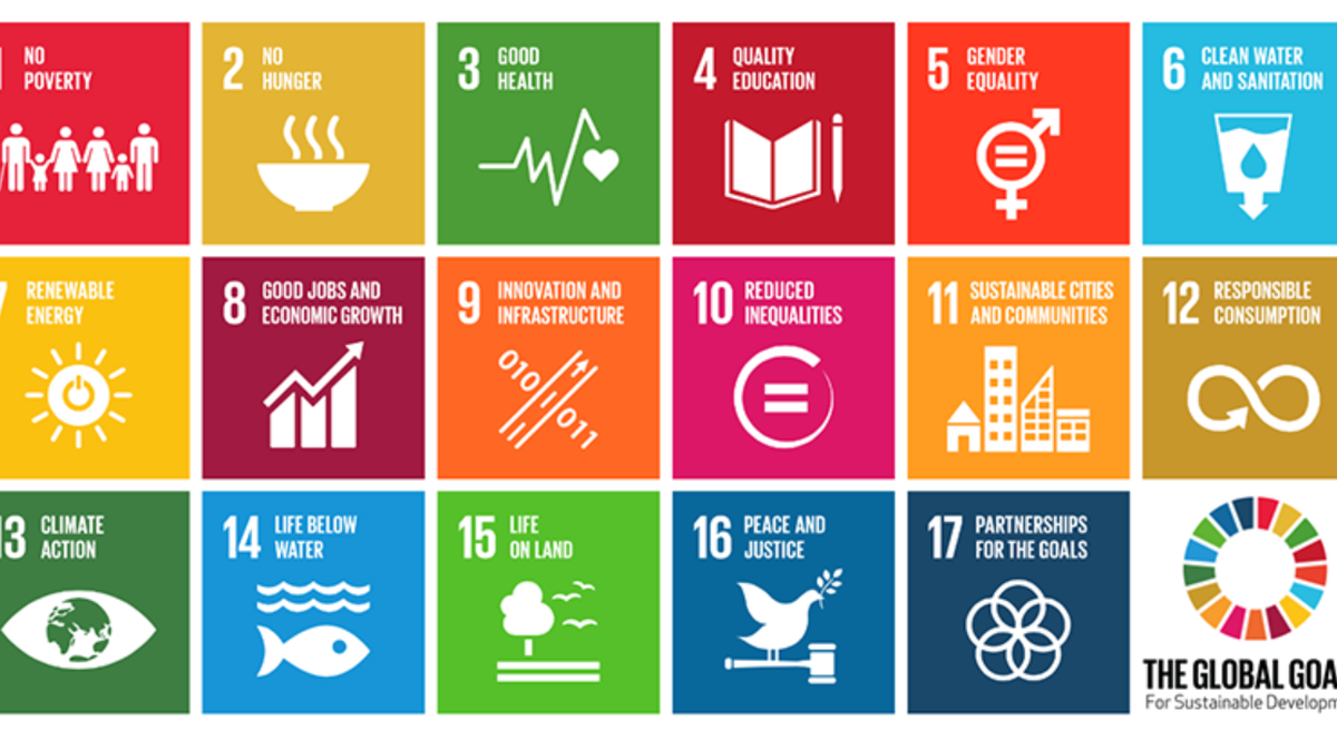 Parents in the Paso Robles school district objected to the inclusion of the United Nations’ sustainable development goals, seen here in a UN table, in a chemistry textbook proposed for adoption.