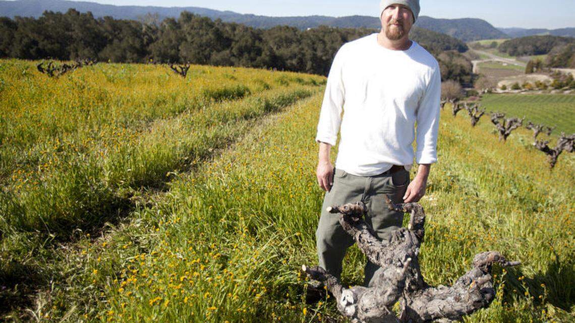 Search for solutions in the groundwater crisis