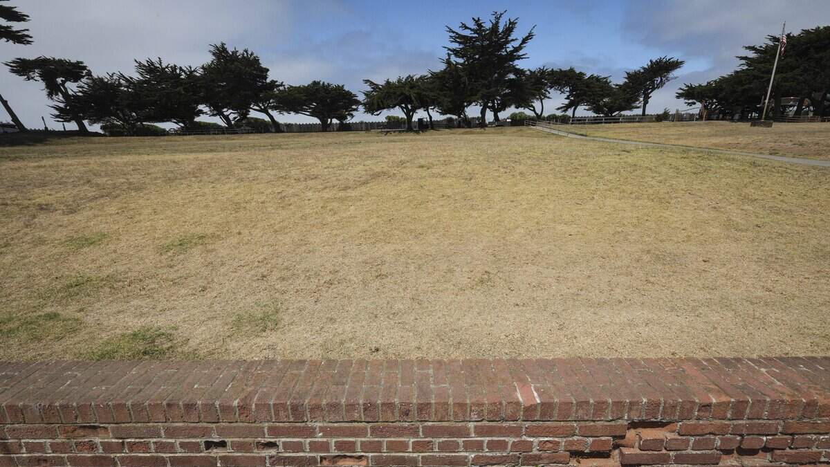 The lawn is brown at Shamel Park in Cambria, CA on June 18, 2026.