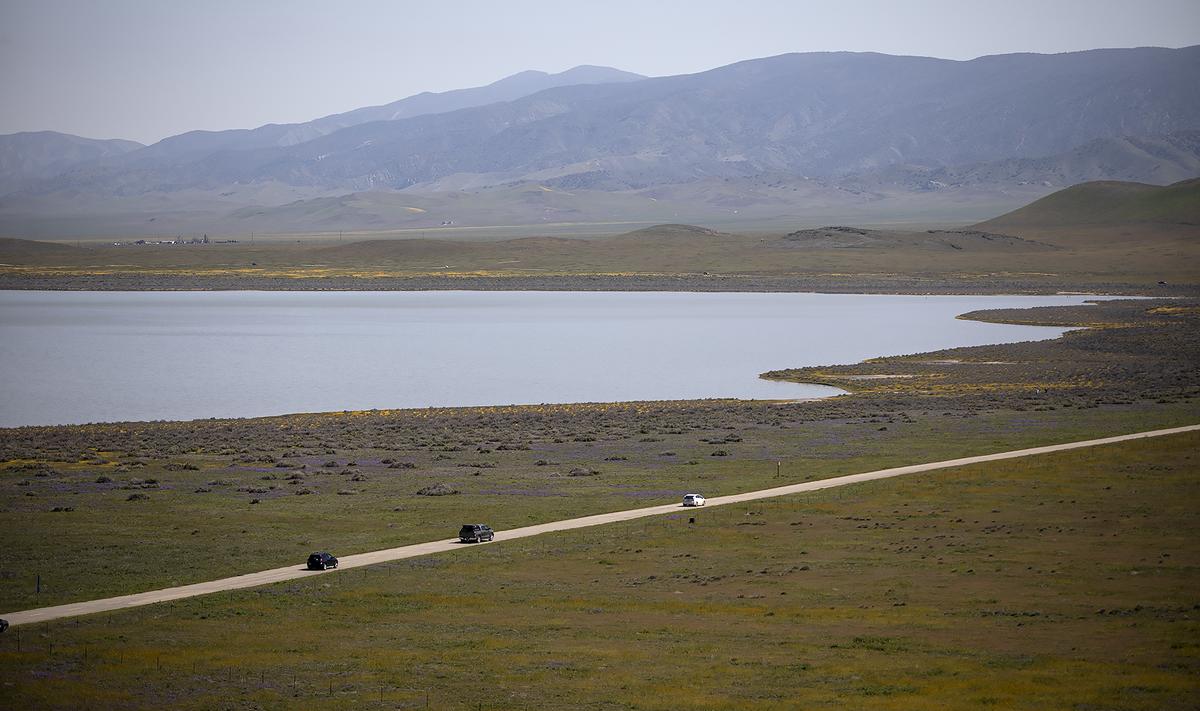 Fields of yellow wildflowers line the shores of a full Soda Lake in the Carrizo Plain National Monument on April 1, 2023.