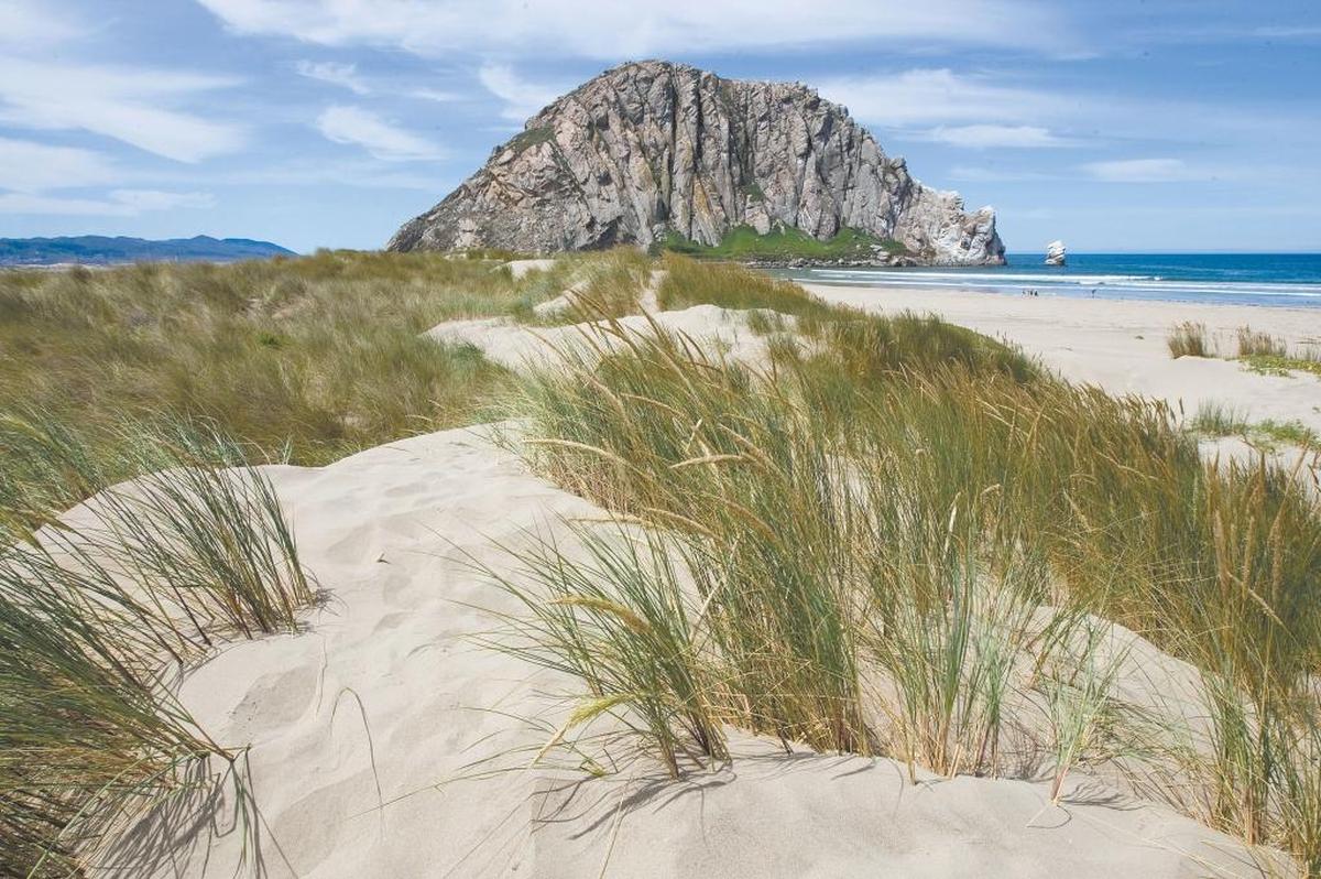 Morro Strand State Beach
