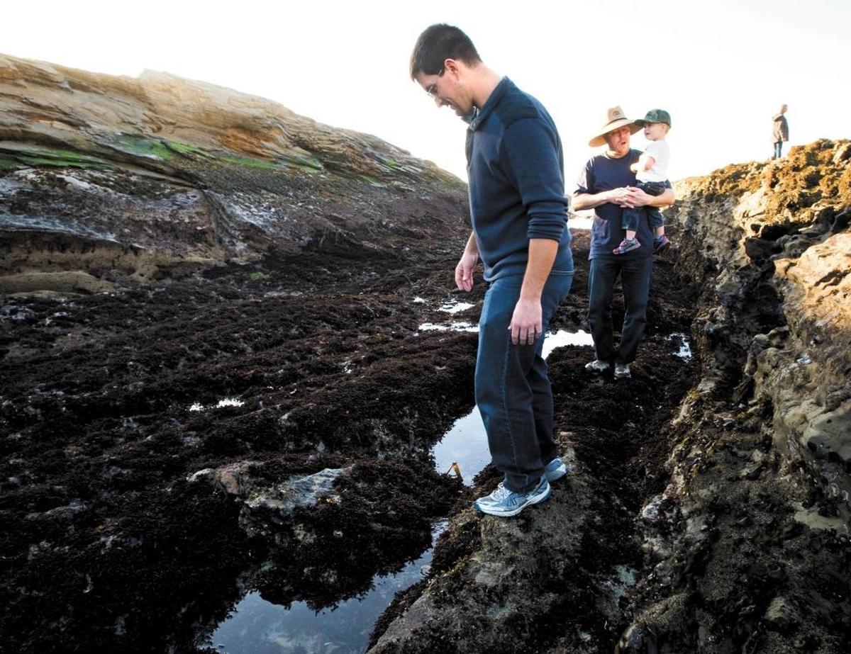 Richard Ripperger, left, his father-in-law, Scott Sill, and son Noah, 2, from Bakersfield, scramble along the tide pools during low tide at Montaña de Oro in 2013.