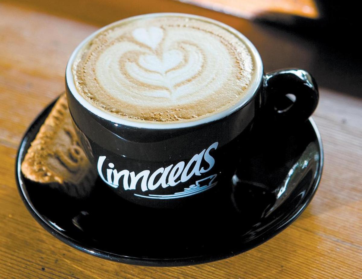 Cappucino by barista Chris Burd at Linnea's, which is the original San Luis Obispo coffee house.
