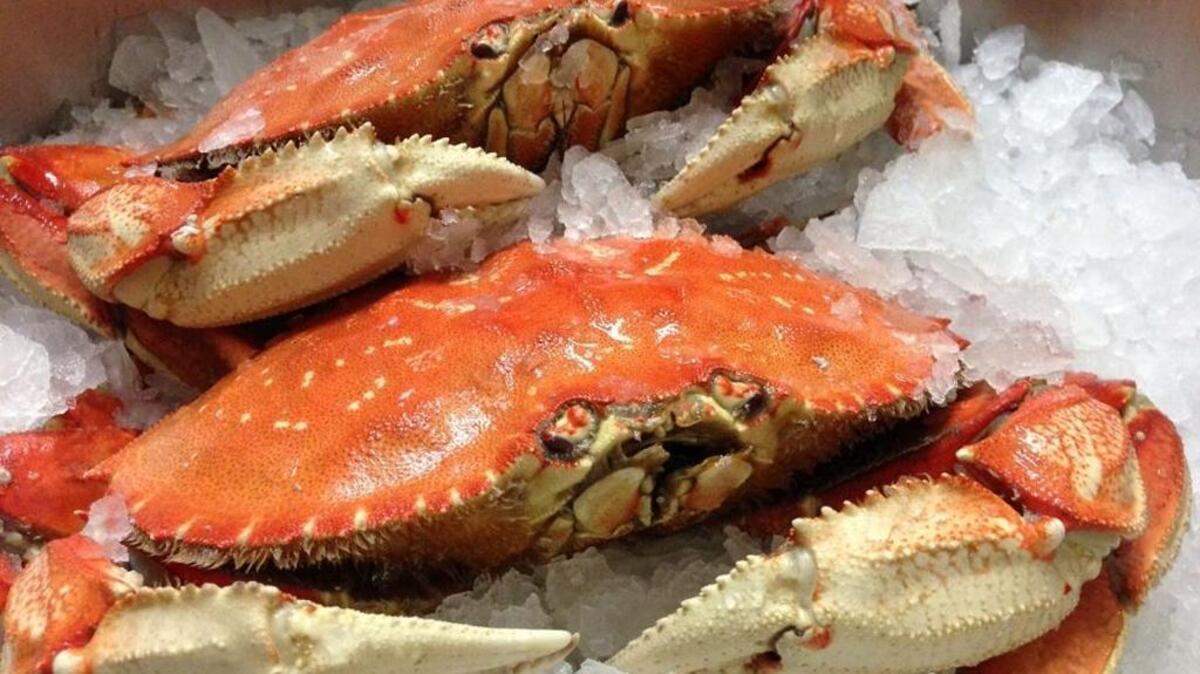 Fresh-cooked Dungeness crab awaits customers at Pier 46 Seafood in Templeton.