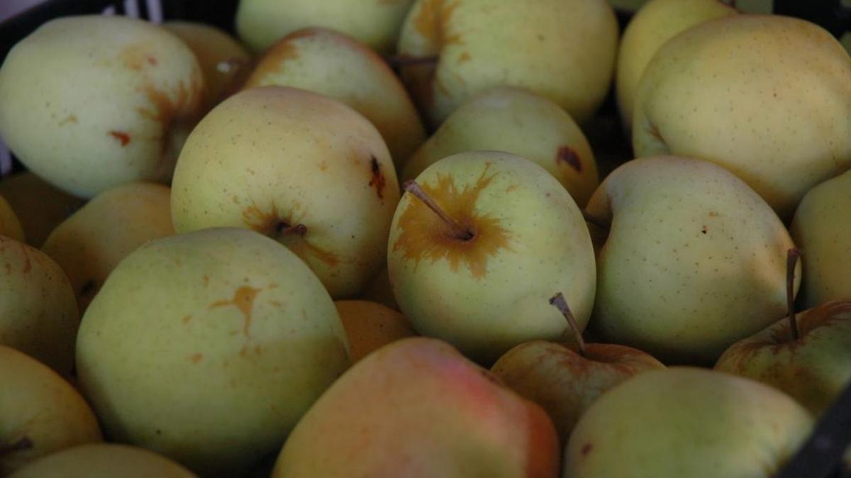 Apples are among the local products sold at the See Canyon Fruit Ranch farm stand in rural San Luis Obispo. The ranch is a vendor at the Apples and Honey Festival, Sunday in downtown San Luis Obispo.