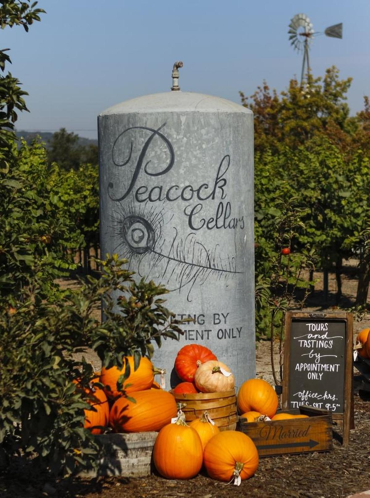 Peacock Farms in Arroyo Grande is also home to Peacock Cellars, where tours and tastings are available.
