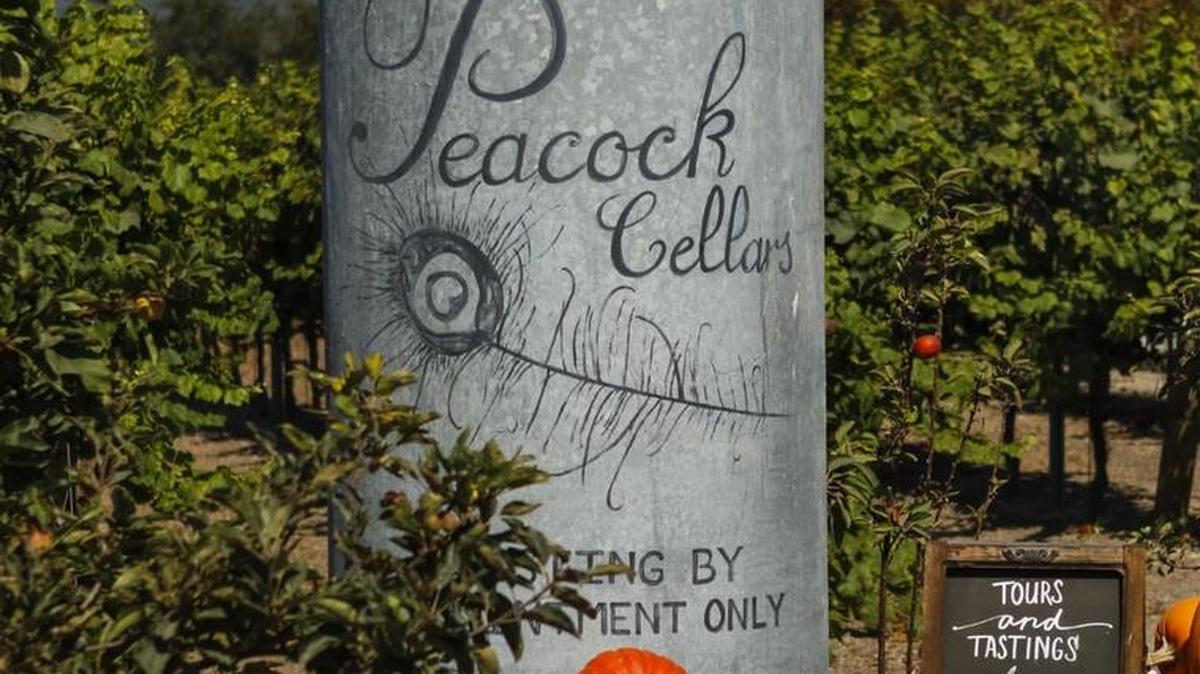 Peacock Farms in Arroyo Grande is also home to Peacock Cellars, where tours and tastings are available by appointment.