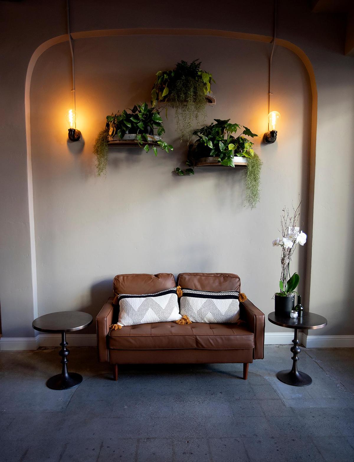 Plants and Edison bulb lights decorate the wall of Saints Barrel wine bar in San Luis Obispo.