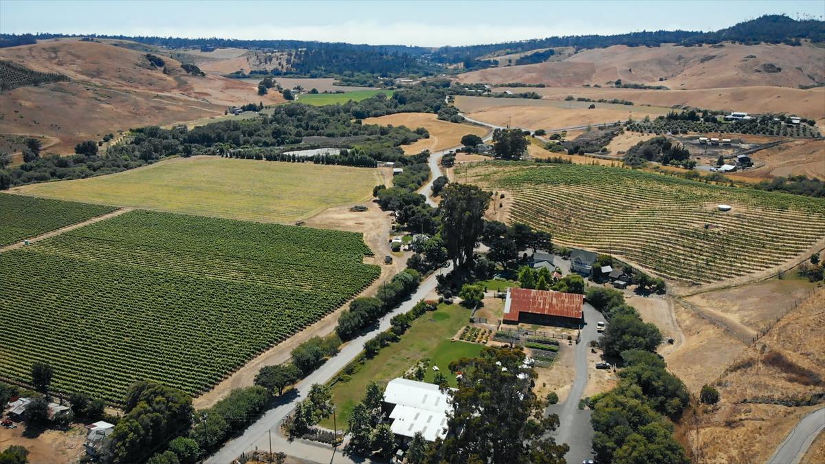 Stolo Family Vineyards is tucked in the hills behind Cambria, just a couple miles from the coast. The winery would fall under the umbrella of the proposed SLO Coast American Viticultural Area.