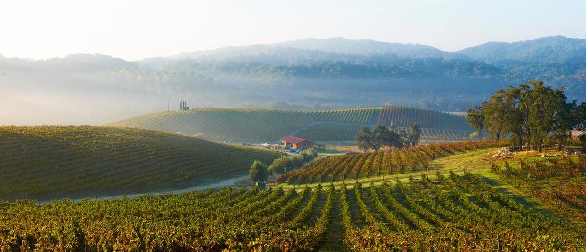 Tablas Creek Vineyard is located on the west side of Paso Robles, about five miles south of Dubost Vineyard & Winery.