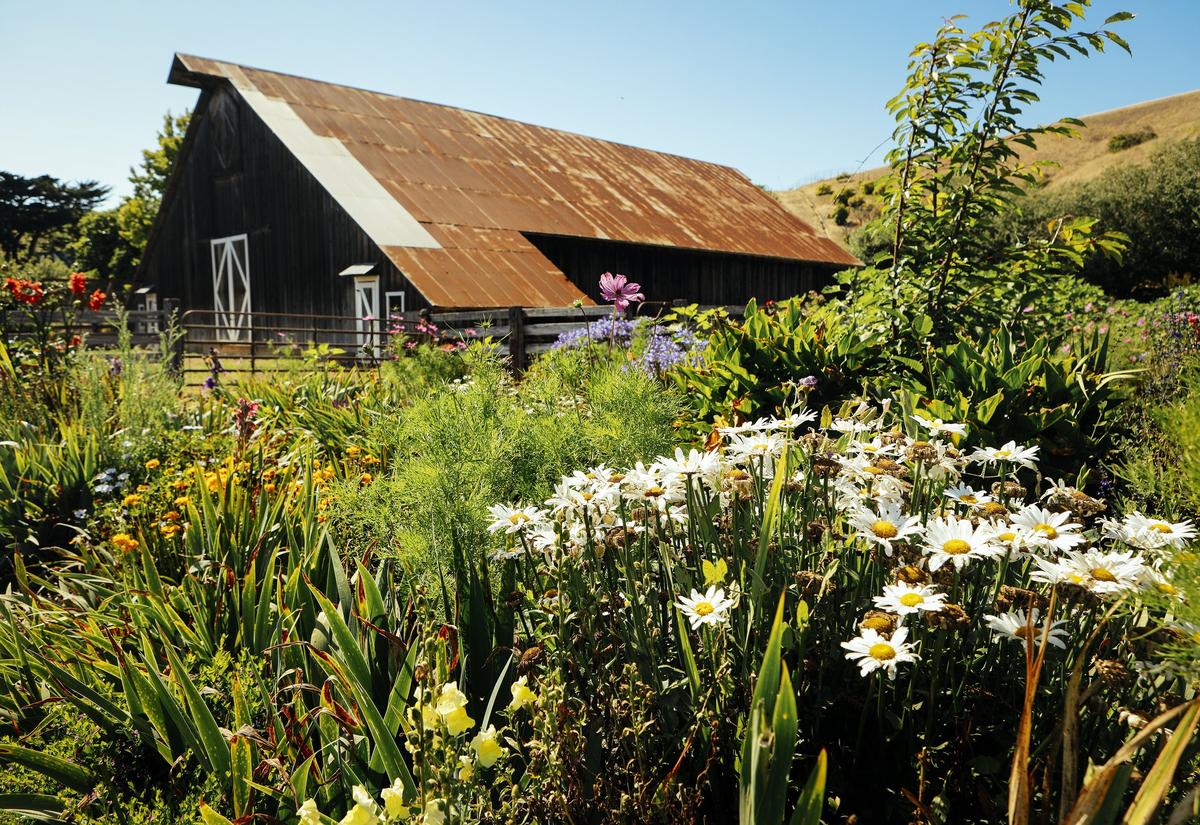 Stolo Family Vineyards is tucked in the hills behind Cambria, just a couple miles from the coast. The winery would fall under the umbrella of the proposed SLO Coast American Viticultural Area.