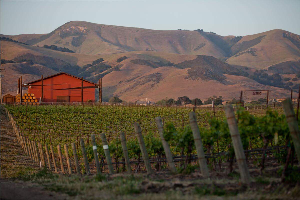 Chamisal Vineyards is located in San Luis Obispo.