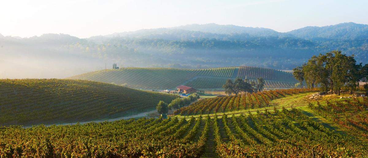 Paso Robles is home to more than 200 wineries.