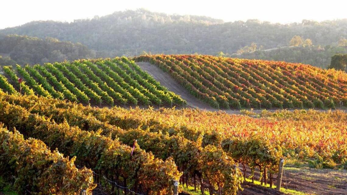 Need a getaway? CA city named one of best destinations for trips with friends
