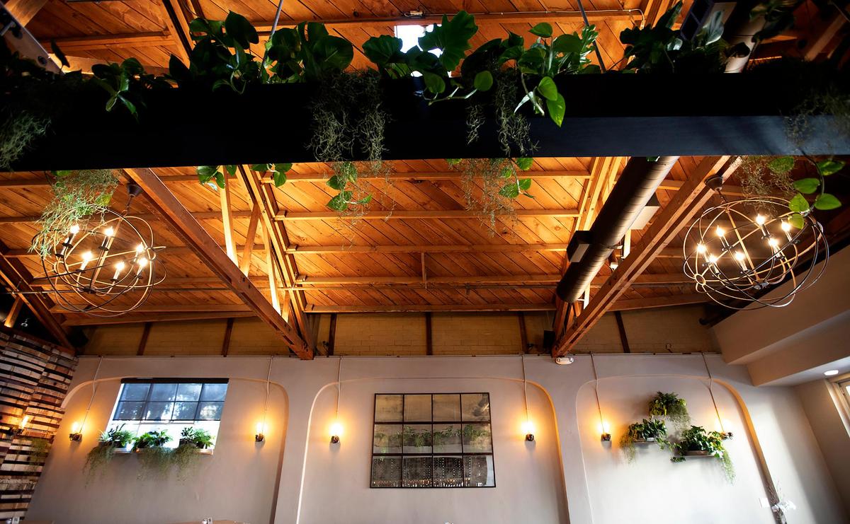 Saints Barrel wine bar is located in the former Luis Bar space at 1021 Higuera St., near Firestone Grill and Black Horse Espresso & Bakery. The owners said the wood ceiling gave them the feeling of being inside a barrel, thus the name.