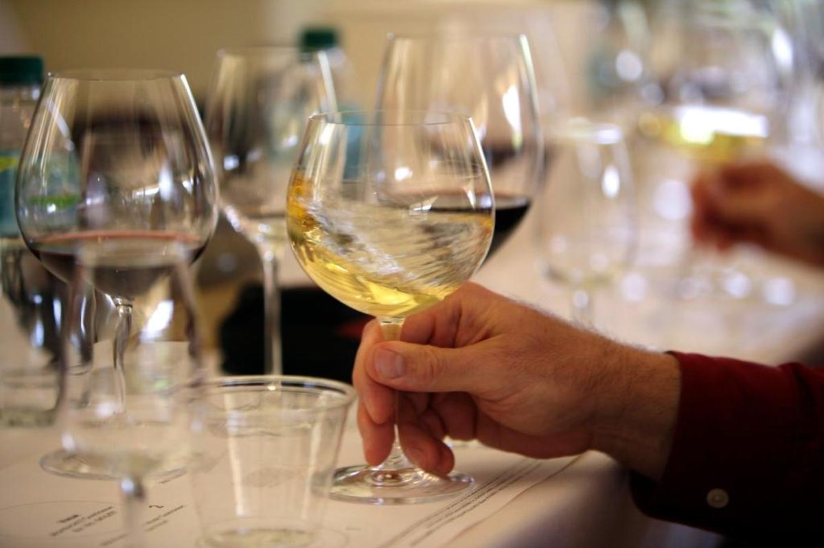 Wine is the focus of several festivals this fall on the Central Coast.
