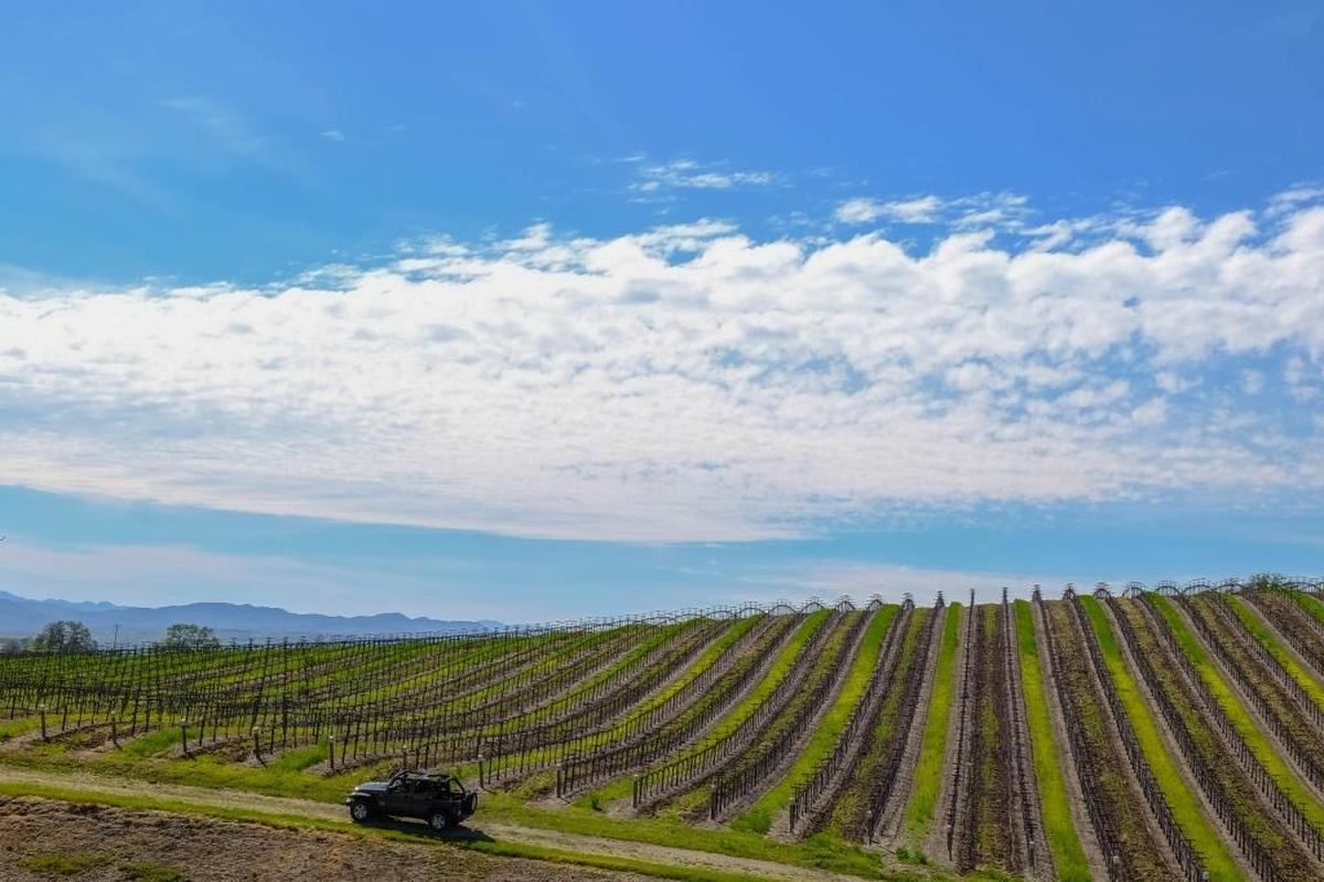 A Jeep Wrangler tour of Villa San-Juliette Vineyard & Winery in San Miguel features sweeping views of rolling hills and valleys.