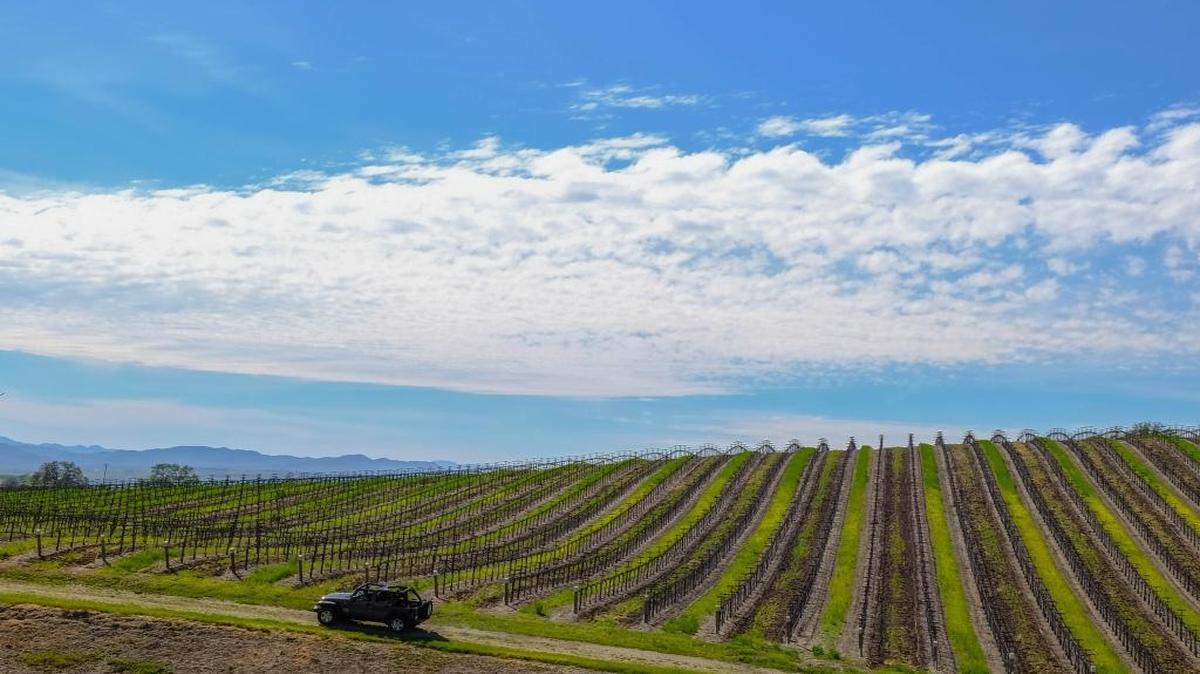 A Jeep Wrangler tour of Villa San-Juliette Vineyard & Winery in San Miguel features sweeping views of rolling hills and valleys.