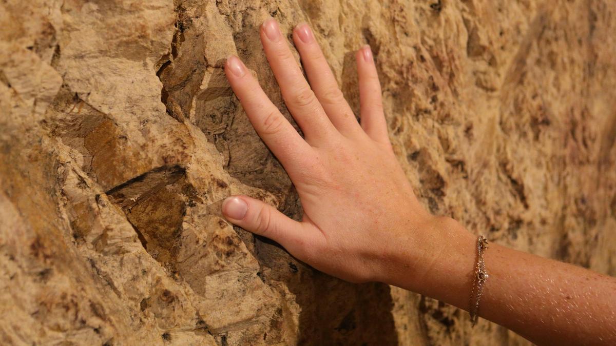 L’Aventure Winery in Paso Robles features a wine cave with an exposed limestone wall. Chloé Asseo-Fabre touches the wall.