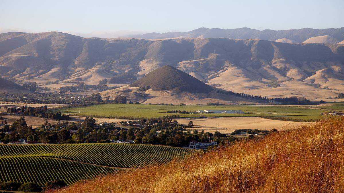 San Luis Obispo wine country