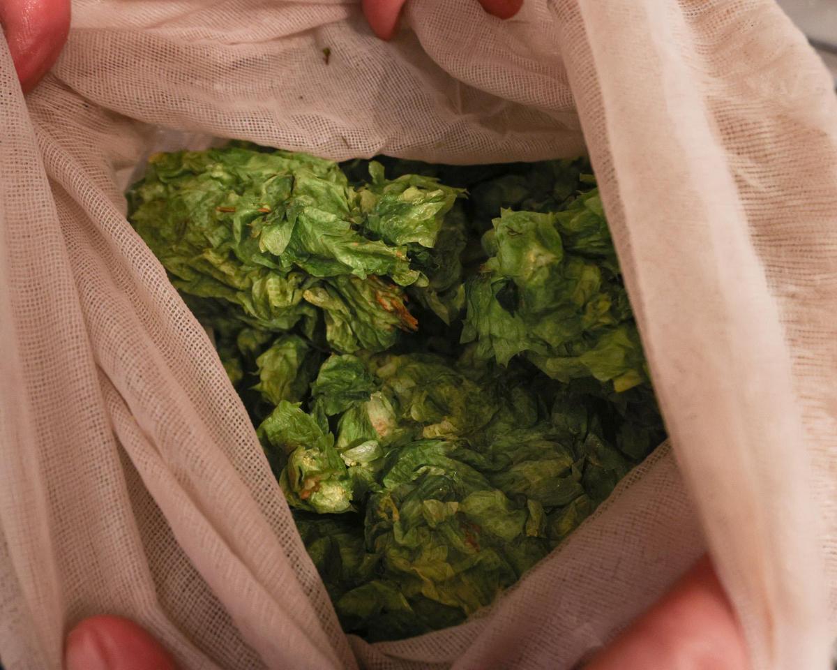 Bambi and Chris Banys grow their own hops for the beers they create at Antigua Brewing, located between the Fremont Theater and Mo’s Smokehouse BBQ on Monterey Street in San Luis Obispo.