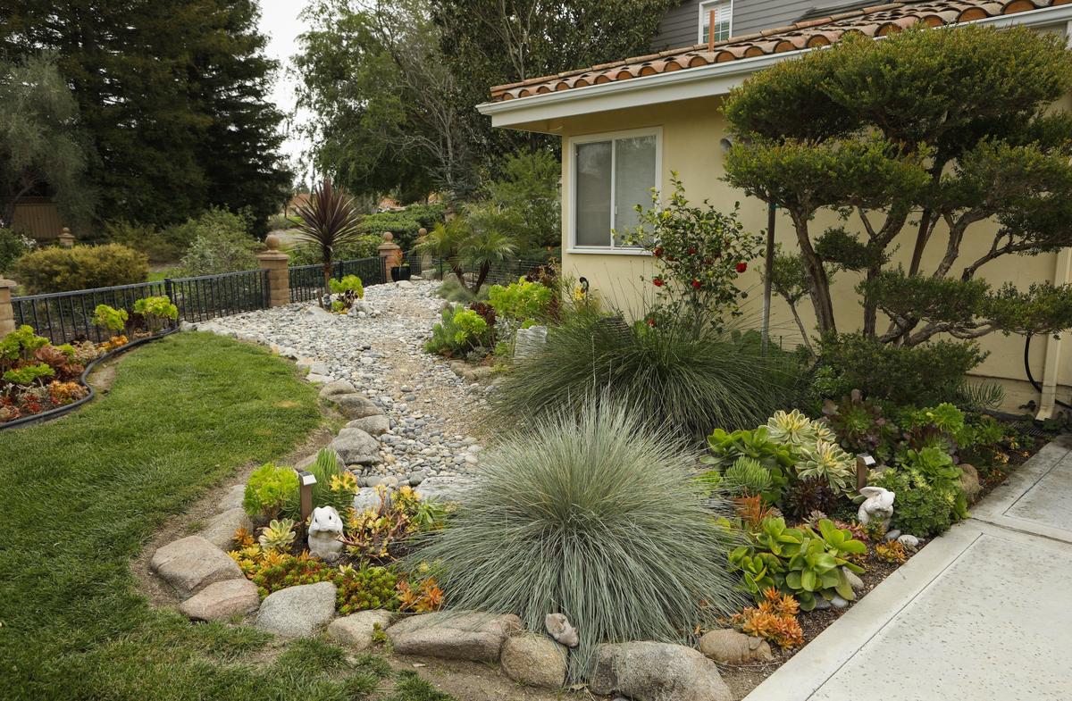 Succulents line a large, dry creek bed in Warren and Vanessa Fujimoto's San Luis Obispo garden.