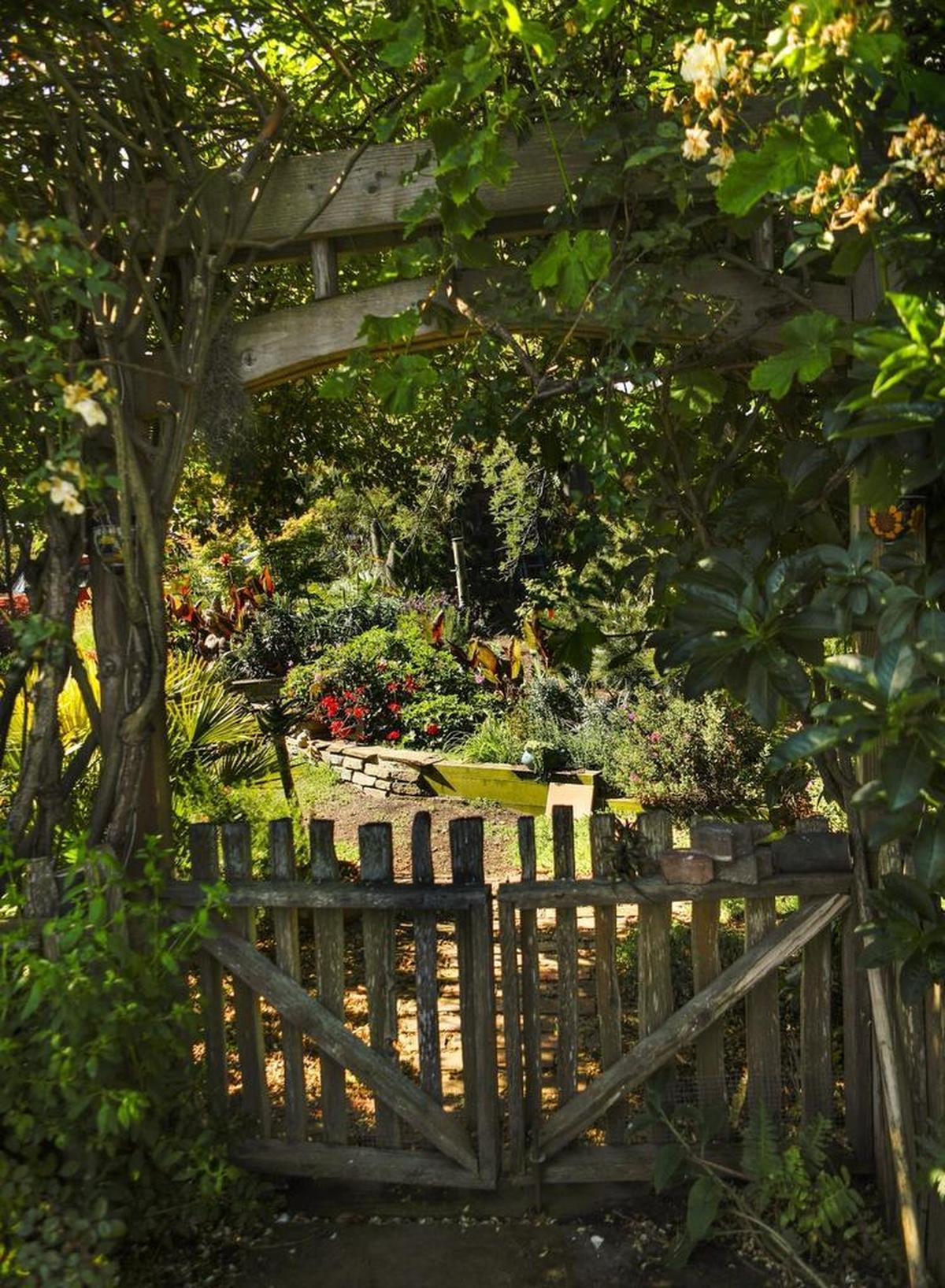 A rustic gate is seen under a rose arch.