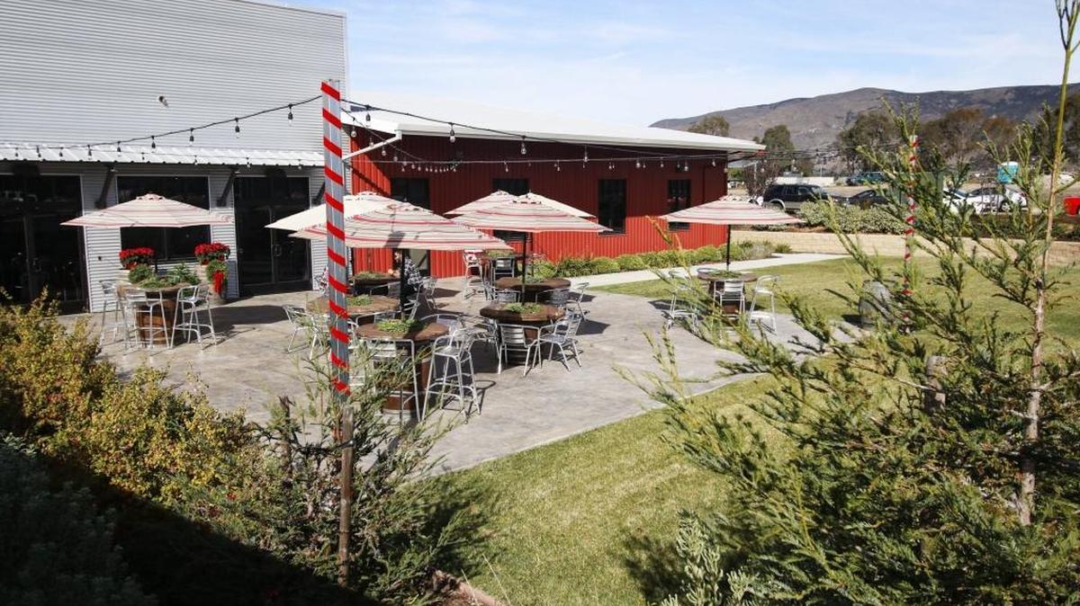 The multi-use employee and visitor patio is framed by three redwoods planted in honor of the late Greg Hind, who generously supported the Family Care Network with his gifts. Employees constructed relaxed farm-style tables for the patio and the adjacent cafe.