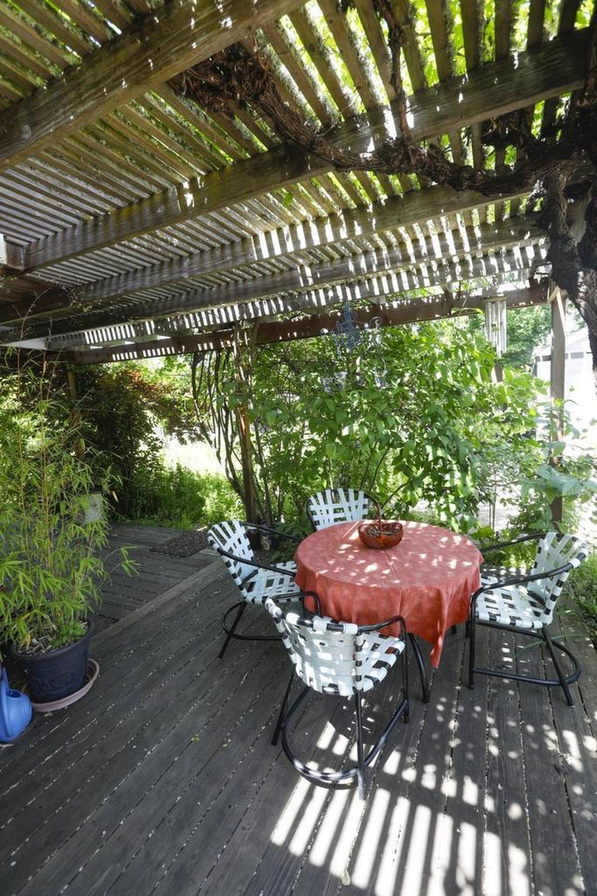 A grapevine grows on the back porch pergola at Melinda Forbes’ property in Garden Farms, Atascadero.