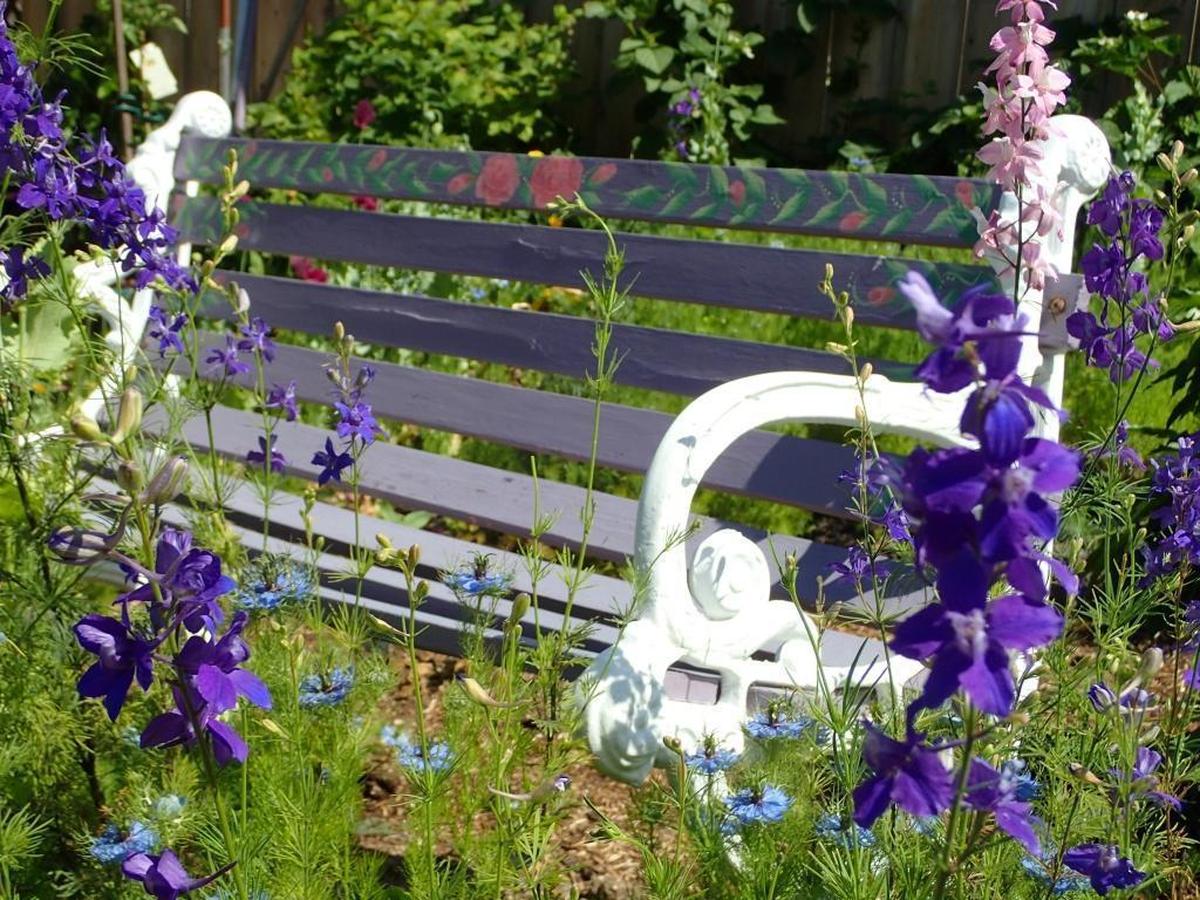 A bench is surrounded by larkspur in DeLisa Harris’s garden in Paso Robles.