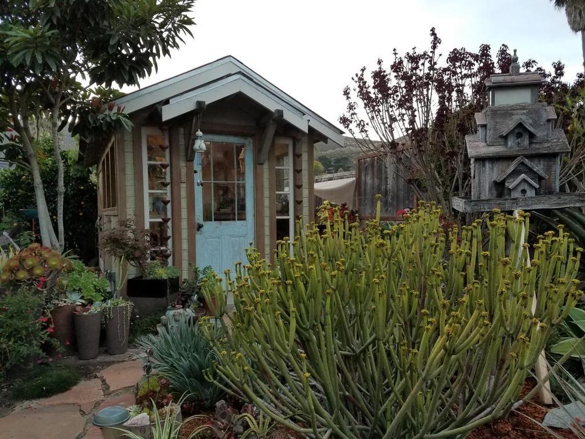 Zoe Sunderland of Shell Beach initially designed a greenhouse to keep her potted succulents and cacti. It has evolved into a space where she can decompress.