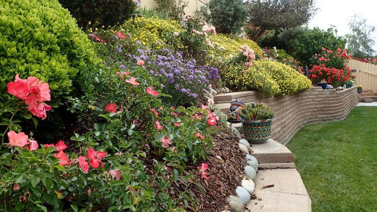 Hadi and Charlotte Zalzalah’s hillside garden in Paso Robles mixes plants of different heights and colors.