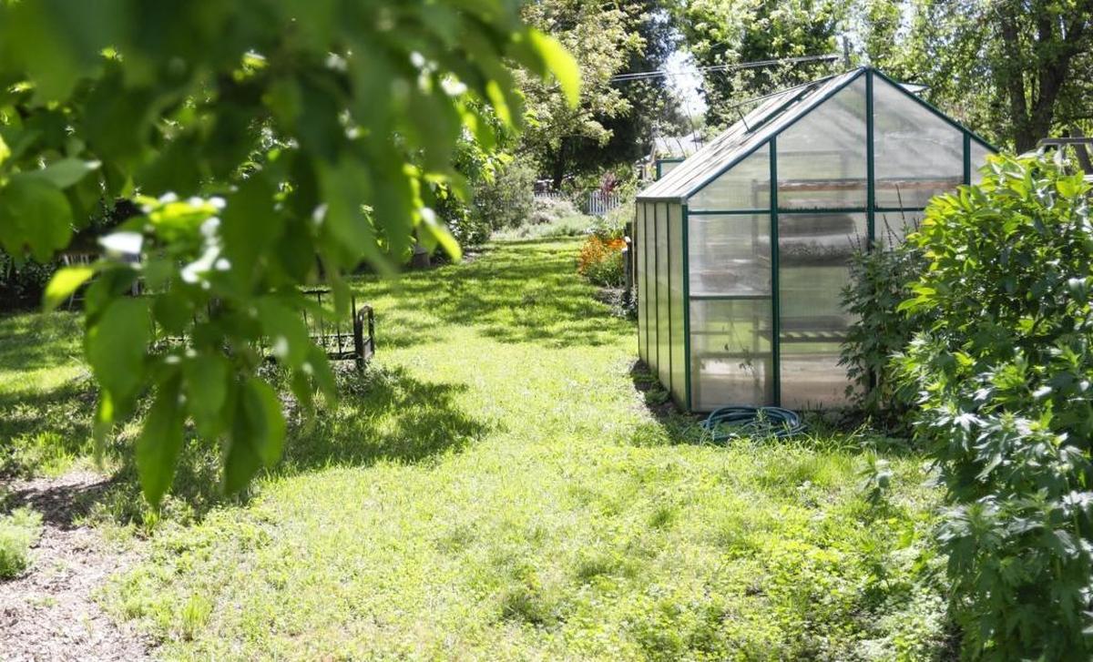 A greenhouse is located near Melinda Forbes’ vegetable garden and is used to propagate plants by seed or cuttings so they can be planted throughout the garden or given to friends. Forbes collects seeds and donates them to the Seed Savers Exchange.