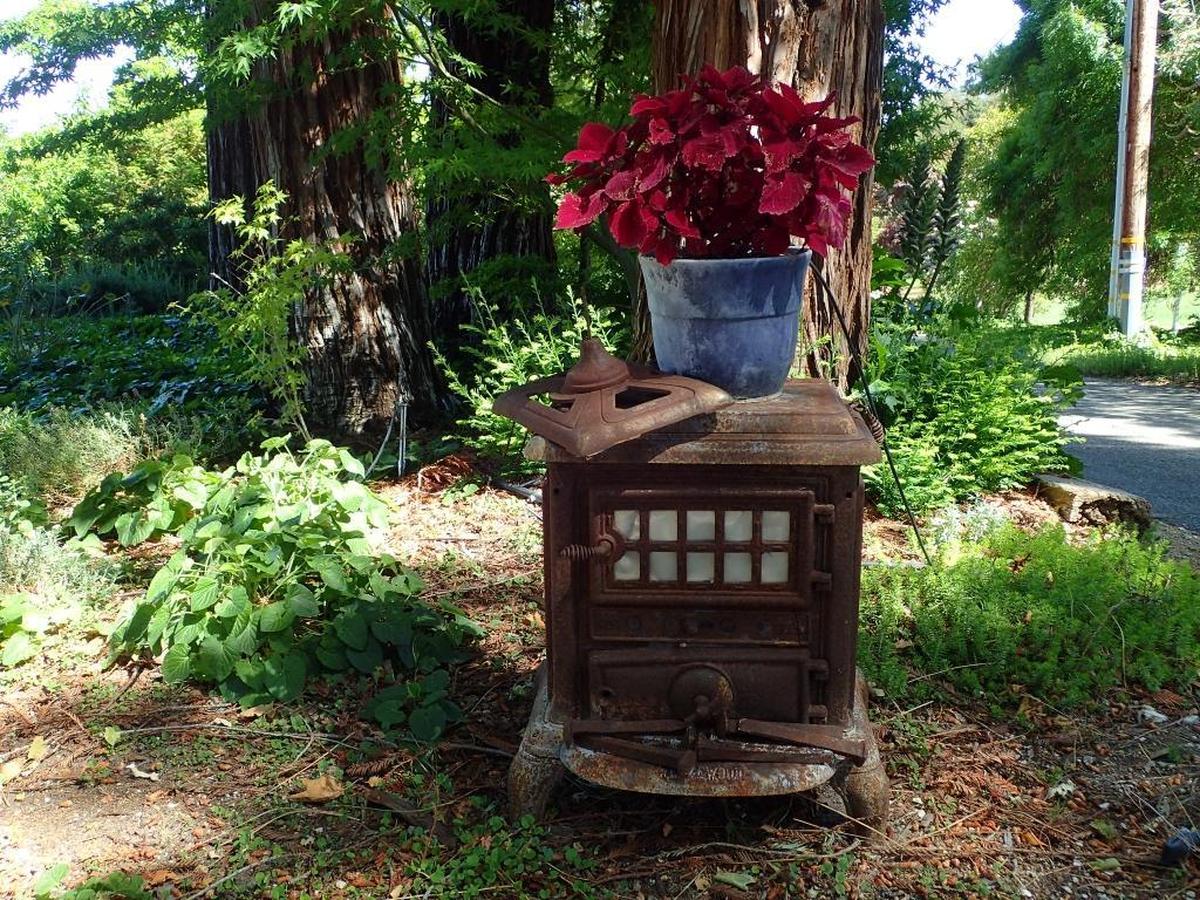 Dave Snyder’s Santa Margaria garden is the perfect spot for his grandfather’s old cast-iron stove.