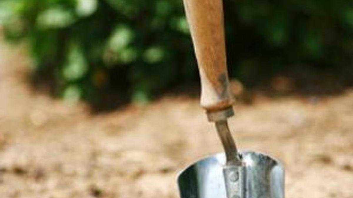 Dirt and contaminants left on tools can contribute to the spread of plant disease, so they should be cleaned at the end of gardening season.
