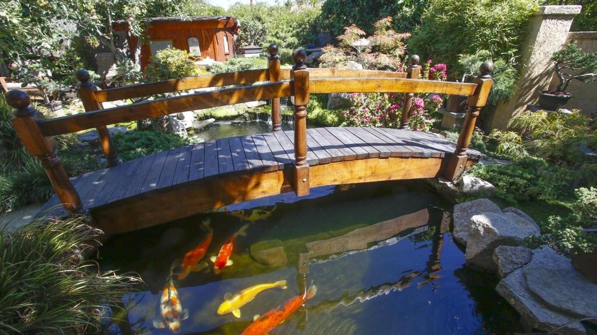 Colorful koi swim beneath a Japanese bridge handcrafted by Les Ferreira.