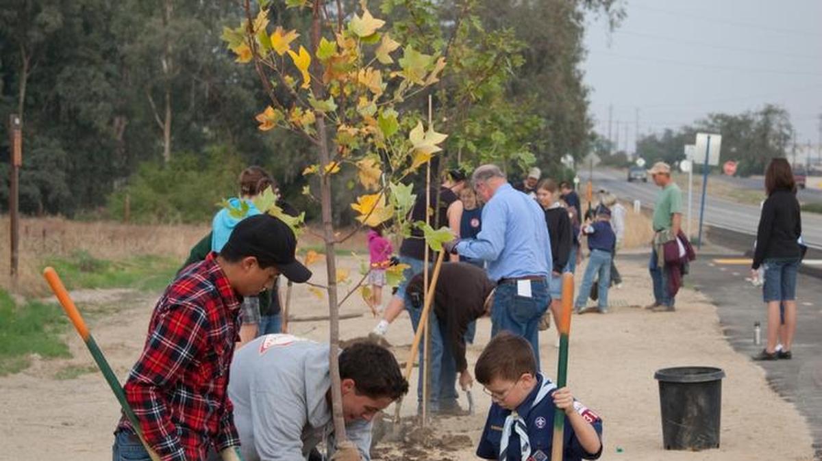 Trees offer health benefits to both humans and the planet, and in the Mediterranean climate of the Central Coast, November is a perfect time to plant.
