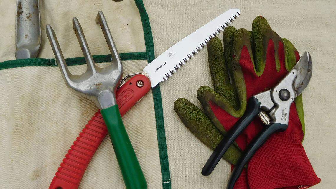 Winter is coming. Here’s how to prepare your garden