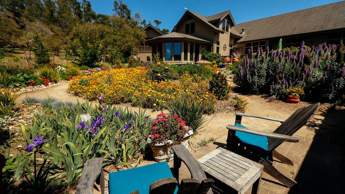 California poppies, African daisies, purple irises and pride of Madeira bushes are among the colorful plants in Lee Oliphant and Don Sather's Cambria garden.