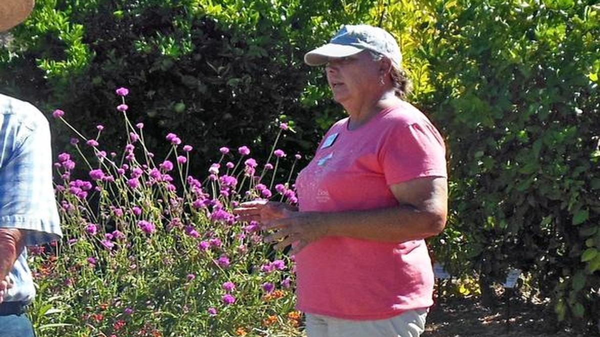 Master Gardener Cory Kelso educates people about curbside plantings.